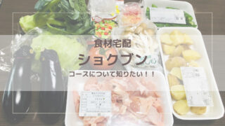 【ショクブン実体験 】あなたにピッタリのコースは？コース内容と料金を徹底調査 
