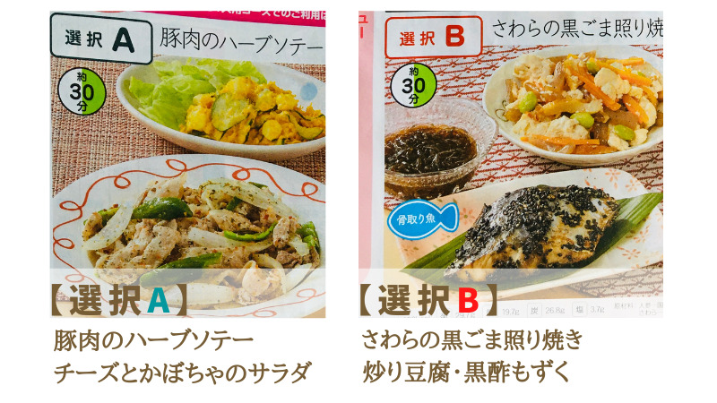 ショクブン選択A、選択Bのメニューの例